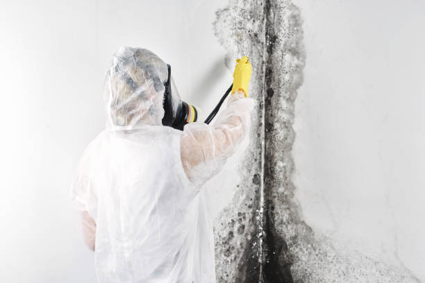 Best 24/7 water damage repair  in Harmony, PA